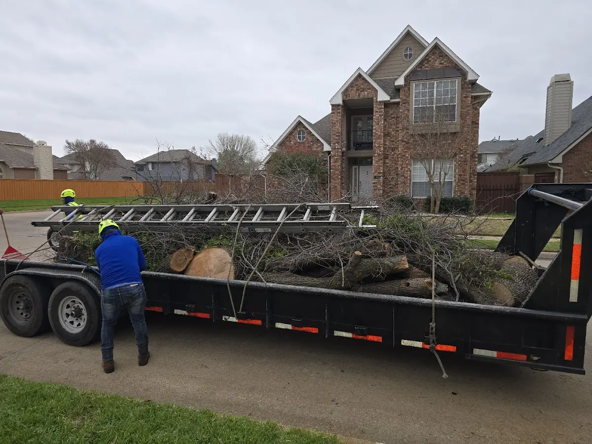 Expert Lot Clearing with proper safety equipment in Philo
